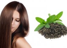 Применение зеленого чая для волос в домашних условиях