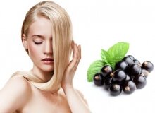 Применение и польза масла черной смородины для волос
