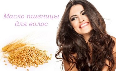Масло зародышей пшеницы для волос: маски и отзывы